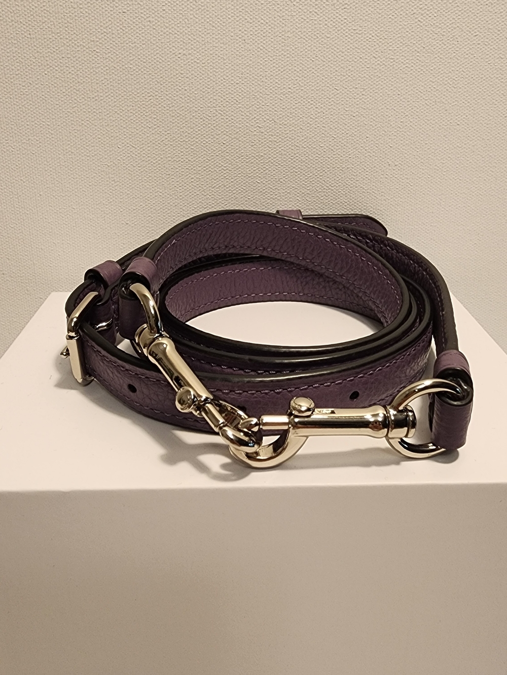 Coach Replacement Strap